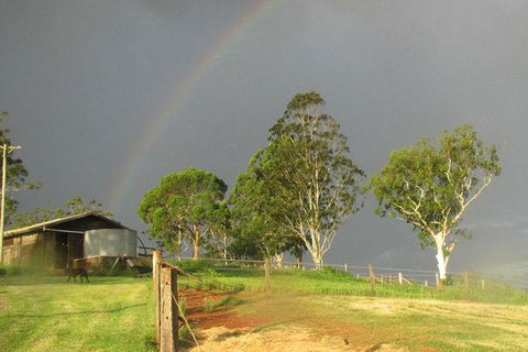 CBR Equine Cottage - Accommodation QLD 0