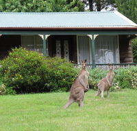 Cedar Lodge Cabins - Accommodation QLD