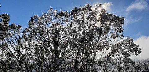 Cedarwood Apartments - Accommodation QLD 1