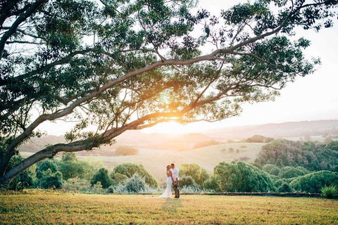 Cedia At Byron Bay Hinterland - Accommodation QLD 1