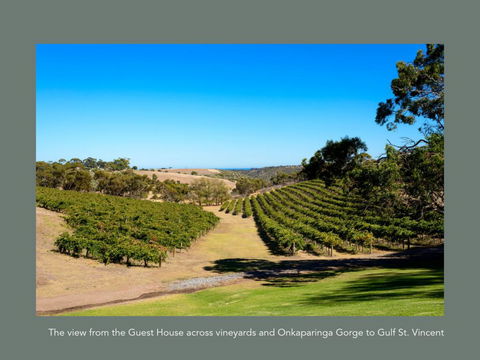 Chapel Hill Winery Guest House - Accommodation QLD 1