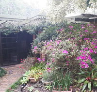 Charming country house close to Grafton - Accommodation QLD