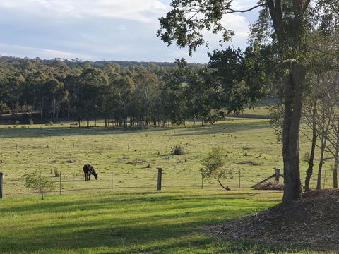 Charolais Cottage - Accommodation QLD 3
