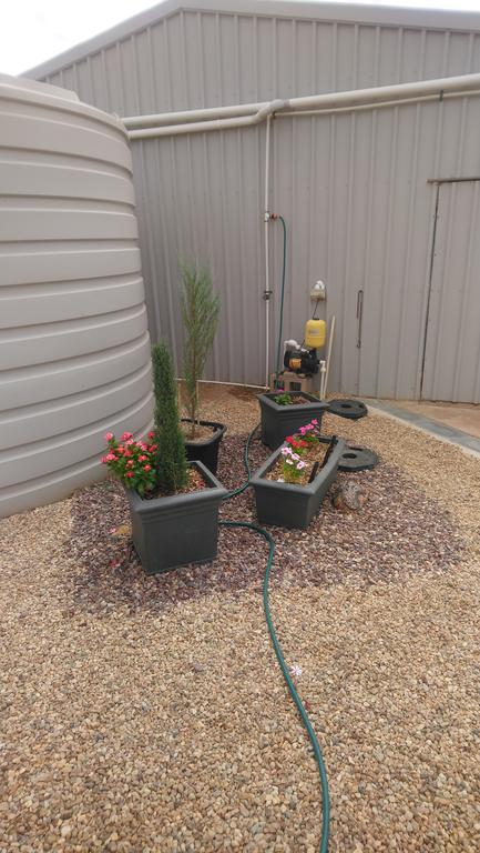 Chrissie's Dongara - Accommodation QLD 2