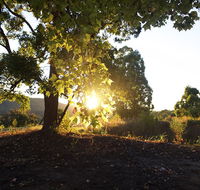 Clarendon Forest Retreat - Accommodation QLD