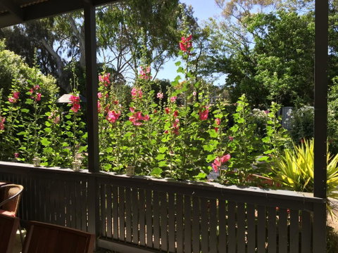 Clarevale Cottage B&B - Accommodation QLD 1