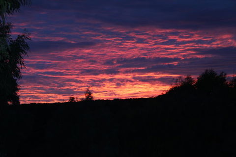 Clifton Beach Lodge - Accommodation QLD 1