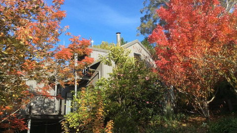 Cloudsong Chalet 4 - Close To The Village Centre! - Accommodation QLD 0