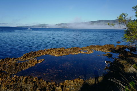 Coast House Tasmania - Accommodation QLD 2
