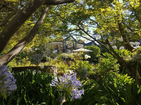 Cobb's Hill Homestead - Accommodation QLD 1