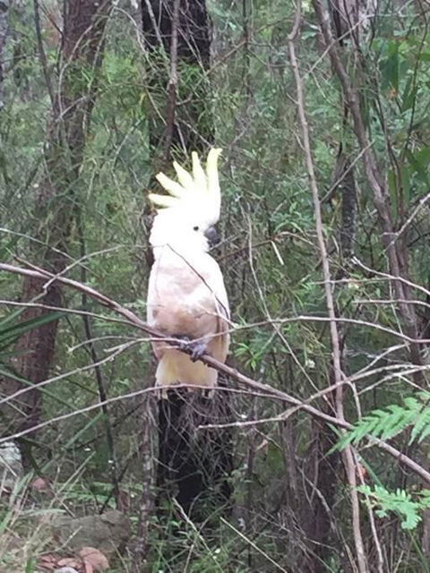 Comfortable Queen Sized Room Near Tuggerah Lake - Accommodation QLD 3