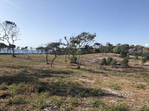 COONARR BEACH ( BUNDABERG )CAMPING - Accommodation QLD 2