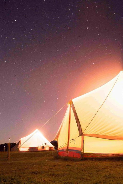 Coonawarra Bush Holiday Park - Accommodation QLD 3