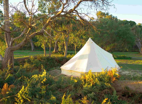 Coonawarra Bush Holiday Park - Accommodation QLD 0