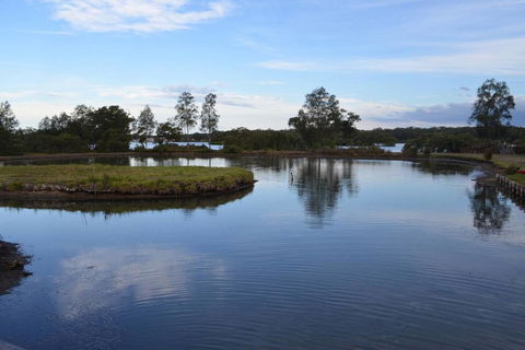 Cottage Port Stephens / Swan Bay, NSW - Accommodation QLD 2