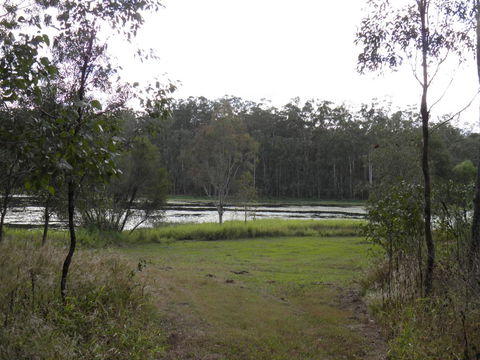 Coucals Cottage - Accommodation QLD 2