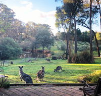 Countryside Retreat Spa Cottage Hepburn - Daylesford - Accommodation QLD