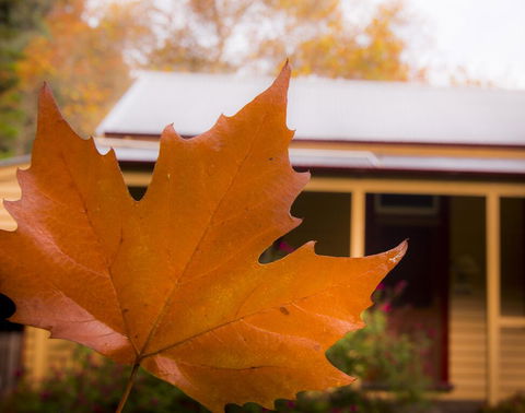 Creek Cottage - Accommodation QLD 3