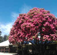 Crossways Country Inn - Accommodation QLD