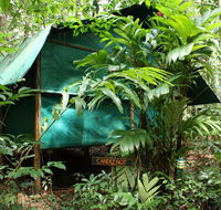 Daintree Crocodylus - Accommodation QLD