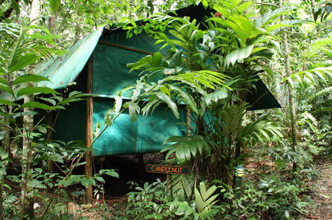 Daintree Crocodylus - Accommodation QLD 0