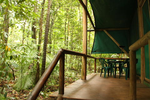 Daintree Crocodylus - Accommodation QLD 1