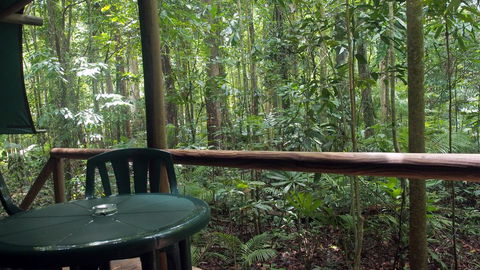 Daintree Crocodylus - Accommodation QLD 2