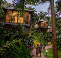 Daintree Ecolodge - Accommodation QLD