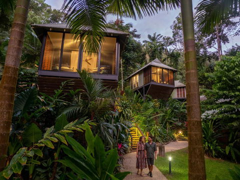 Daintree Ecolodge - Accommodation QLD 0