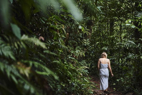 Daintree Ecolodge - Accommodation QLD 2