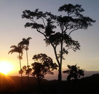 Daintree Holiday Homes - Yurara - Accommodation QLD