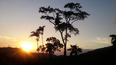 Daintree Holiday Homes - Yurara - Accommodation QLD 0