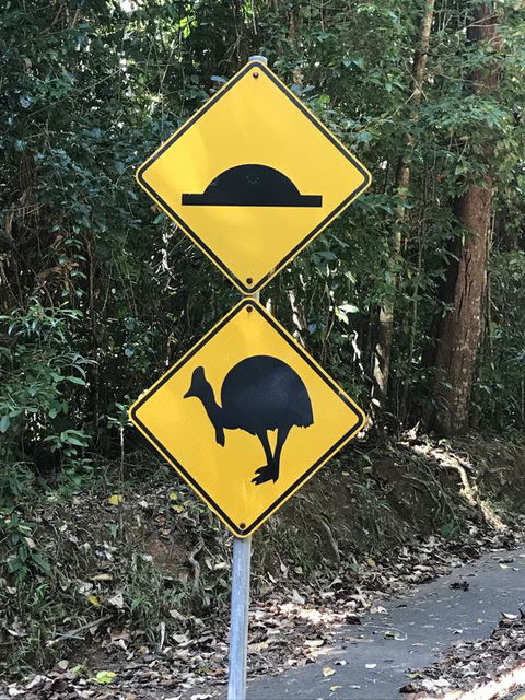 Daintree Magic - Accommodation QLD 1
