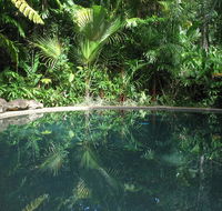 Daintree Rainforest Retreat Motel - Accommodation QLD