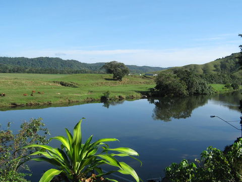 Daintree Riverview Lodges - Accommodation QLD 0