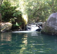 Daintree Secrets Rainforest Sanctuary - Accommodation QLD