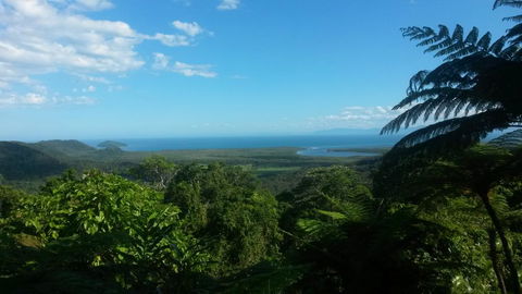 Daintree Village Hideaway - Accommodation QLD 1