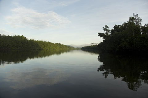 Daintree Village Hideaway - Accommodation QLD 2