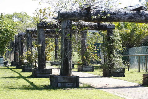 Daintree Wild Bed & Breakfast - Accommodation QLD 2