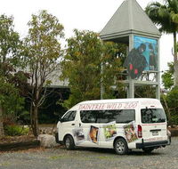 Daintree Wild Bed  Breakfast - Accommodation QLD