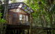 Daintree Wilderness Lodge - thumb 2