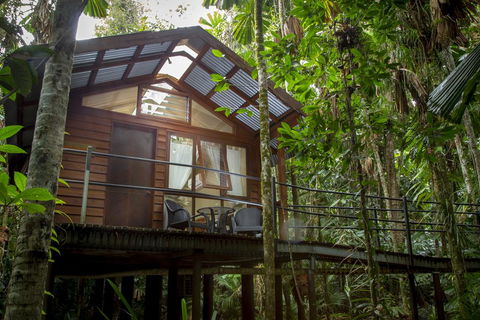 Daintree Wilderness Lodge - Accommodation QLD 2