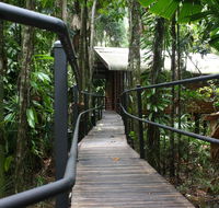 Daintree Wilderness Lodge - Accommodation QLD