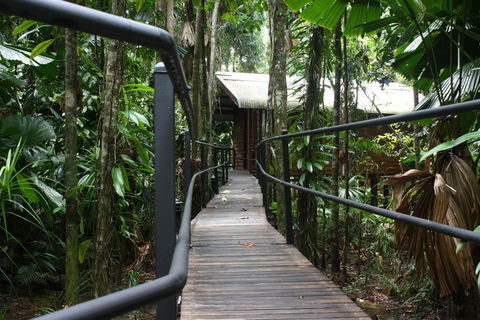 Daintree Wilderness Lodge - Accommodation QLD 0