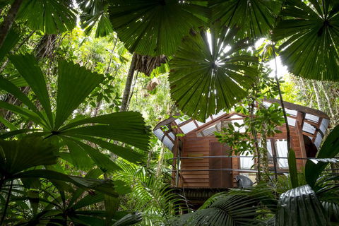 Daintree Wilderness Lodge - Accommodation QLD 1