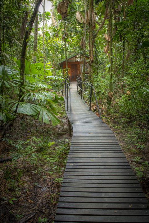 Daintree Wilderness Lodge - Accommodation QLD 3