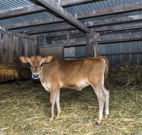 Dairyman's Cottage - Accommodation QLD