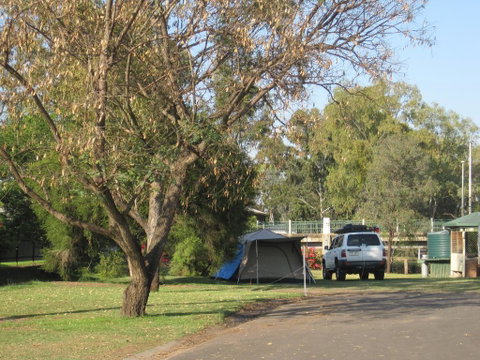 Dalby Tourist Park - Accommodation QLD 3