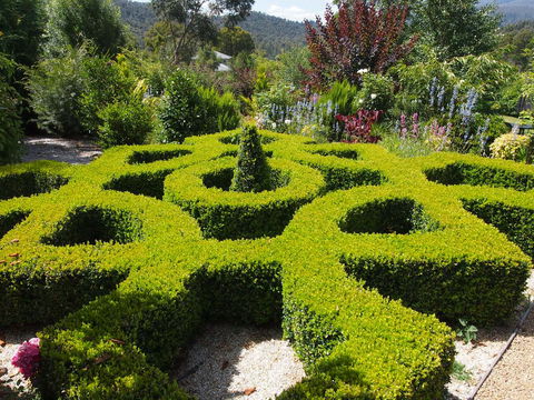 Delderfield Cottages - Accommodation QLD 2