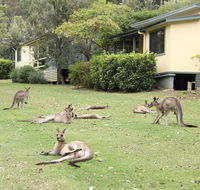 Depot Beach Cabins - Accommodation QLD